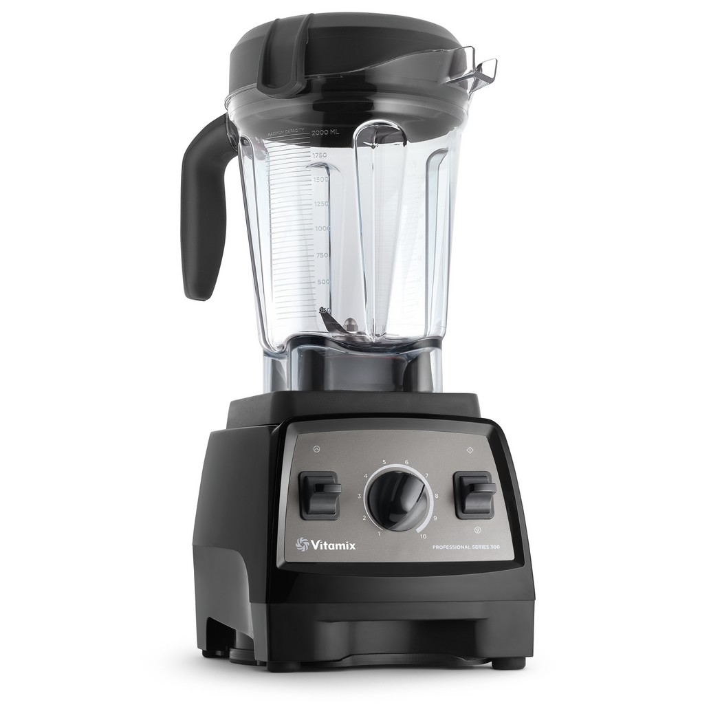 - vitamix pro 300