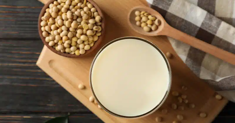 מתכון פשוט להכנת חלב סויה ביתי במכונת חלב סויה vegan milker.