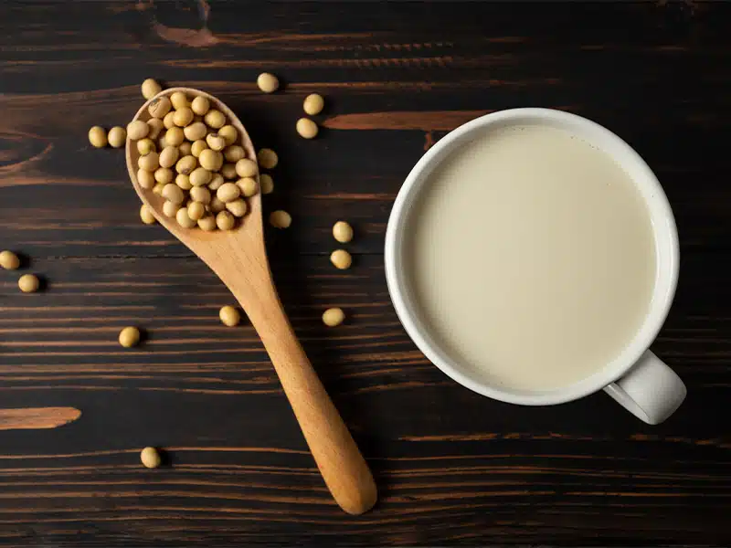 שני מכשירי מטבח שיכולים לעזור לכם להכין חלב או משקה סויה -  ויגאן מילקר ובלנדר ויטמיקס.