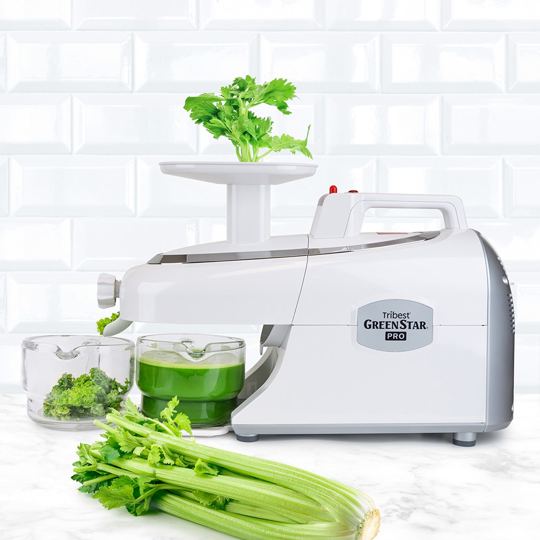 - מסחטת מיצים גרין סטאר פרו בכבישה קרה Tribest Green Star Pro
